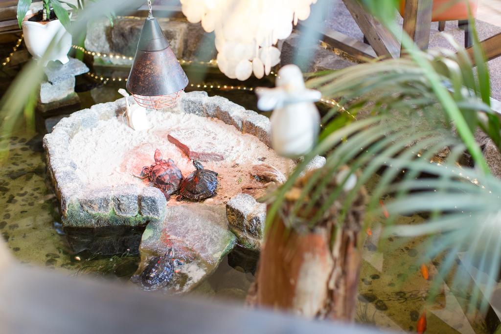 Hotel Garni Am Deich Zingst Ngoại thất bức ảnh